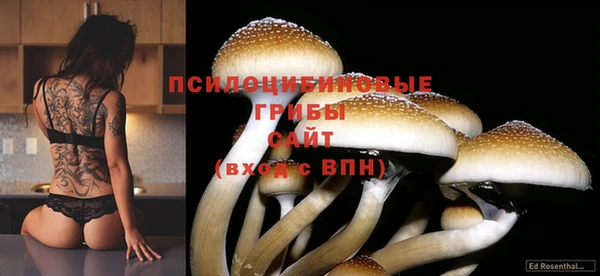 эйфоретик Алексеевка
