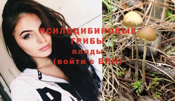 хмурый Зерноград