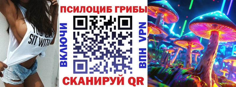 кракен вход  Подольск  Галлюциногенные грибы Cubensis 